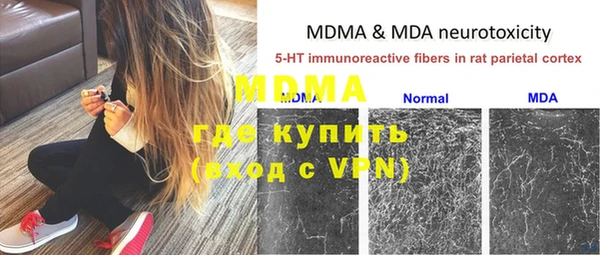 прущие грибы Бугульма
